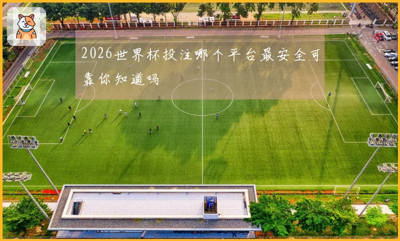 2026世界杯投注哪个平台最安全可靠你知道吗
