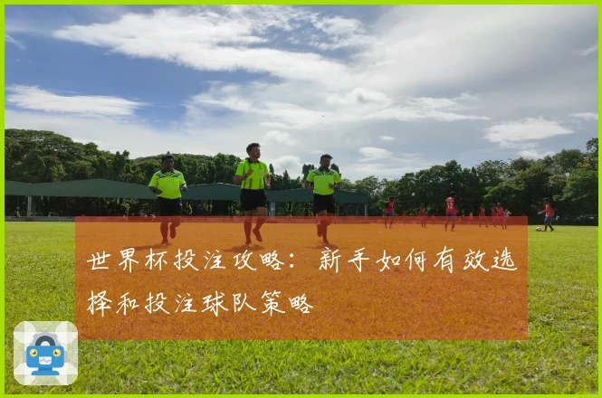 世界杯投注攻略：新手如何有效选择和投注球队策略