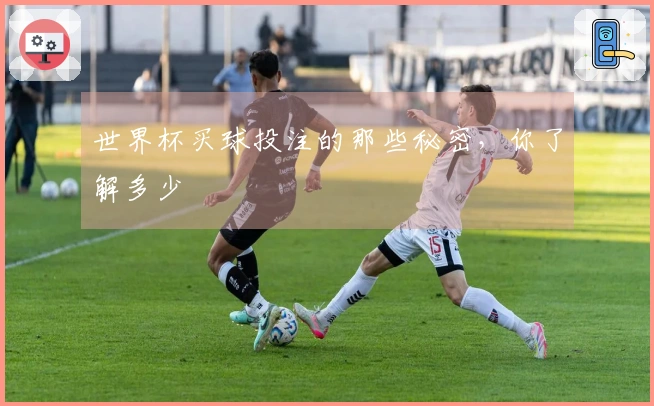 世界杯买球投注的那些秘密，你了解多少