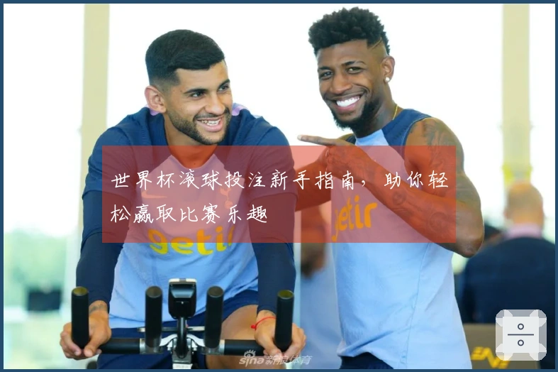 世界杯滚球投注新手指南，助你轻松赢取比赛乐趣