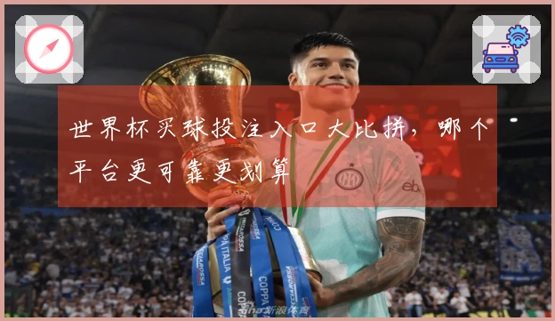 世界杯买球投注入口大比拼，哪个平台更可靠更划算