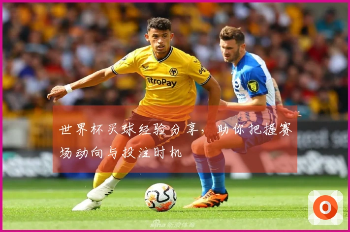 世界杯买球经验分享，助你把握赛场动向与投注时机