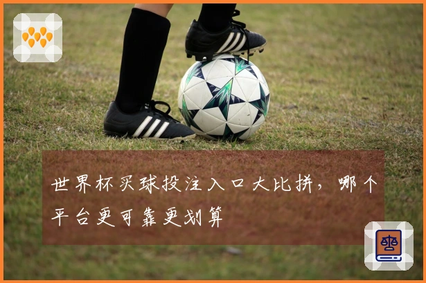 世界杯买球投注入口大比拼，哪个平台更可靠更划算