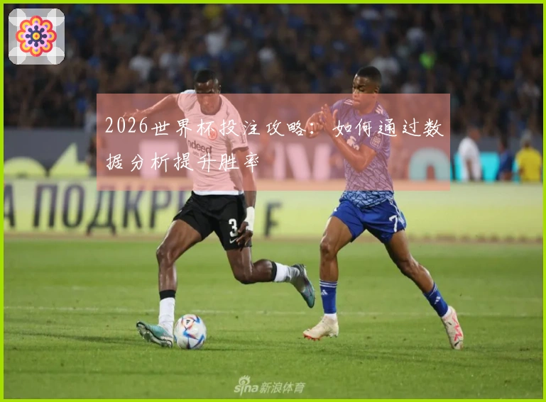 2026世界杯投注攻略：如何通过数据分析提升胜率