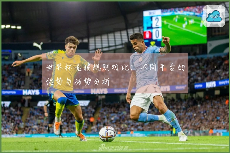 世界杯竞猜规则对比：不同平台的优势与劣势分析
