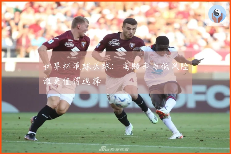 世界杯滚球买球：高赔率与低风险谁更值得选择